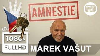 Amnestie (2019) Marek Vašut o 17. listopadu