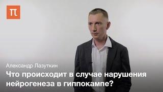 Функции нейронов в мозге - Александр Лазуткин