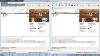 Обход мута\бана в программе TeamSpeak3