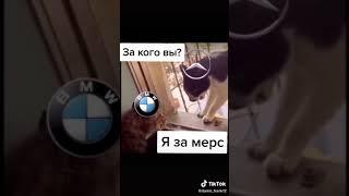 БМВ для пацанов мерседес для петухов