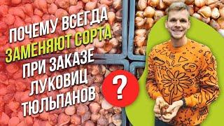 Почему всегда заменяют сорта при заказе луковиц тюльпанов?