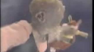 Shari Lewis Lamb Chop in The Land Of No Numbers Part 2