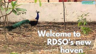 RDSO's Green Initiative | The 'Pakshi Vihar' at RDSO. #indianrailways #wildlife #nature #birds