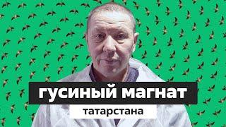 Гусиные истории. Как заработать миллионы на птице?