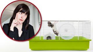 I react to hamster enclosures