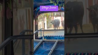#youtube #trending #youtuber #love #video #funny #fun #like #share #subscribe #lol #rofl #whatsapp