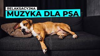 Muzyka relaksacyjna dla psa vol.1