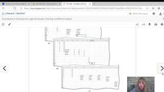 Excel Module 3