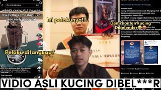 VIRAL TIKTOK!!! KUCING DI BELENDER PELAKU DITANGKAP!!! #viraltiktok