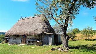 Grandpa's old house was remodeled, grandpa was crying#renovate #building #home