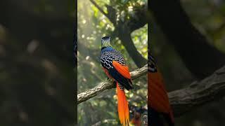 Colorful Creations The World’s Most Vibrant Bird #nature #birdslover #oiseau #owl #birdsounds #ai