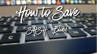 How to Save SHSH2 Blobs For Future iOS Downgrades