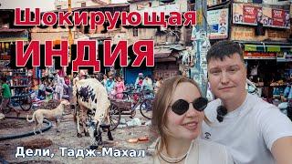 Индия шокирует. Живем на Базаре в Дели, едем в Тадж-Махал. Обзор: цены, еда