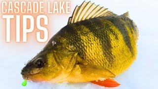 Jumbo Perch Fishing Tips and Techniques for Cascade Lake Idaho