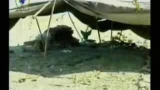 Pashto Tapay Darah Ghareebee da    Harnai  ( Mehr_Tareen)