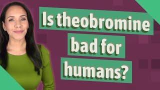 Is theobromine bad for humans?