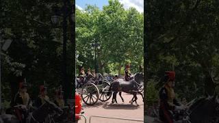 Royal Artillery, Trooping of the Colours Parade, London 2025 #uk #london #military #parade #army