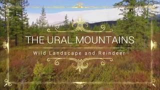 The Ural Mountains: Wild Landscape and Reindeer