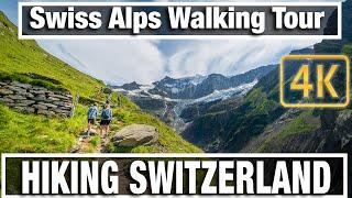 4K City Walks:  Grindelwald Switzerland & Pfingstegg - Virtual Walk Walking Treadmill Video Hiking