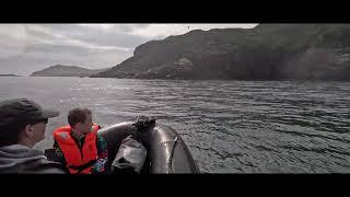 RIB Adventures EP3 4k Lambay Island wildlife, Family RIB trip in a Nividic 550 with 100HP Suzuki