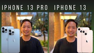 iPhone 13 vs iPhone 13 Pro Camera Comparison