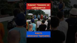 Хамзат Чимаев не собирается ждать Шовхала Чурчаева.