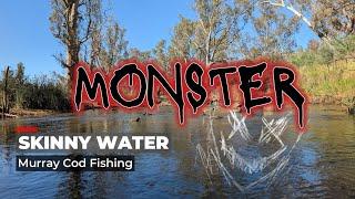 Skinny Water MONSTER I cannot BELIEVE it! - Murray Cod Fishing