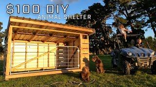 $100 DIY Animal Shelter