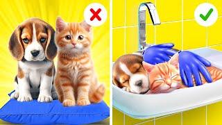 Rescue Abandoned Cute Pets!  Smart Hacks for Cat and Dog Owners