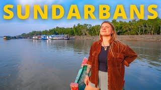 72 Hours in Tiger Mangrove Habitat in India!