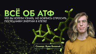 Всё об АТФ, что вы хотели узнать, но боялись спросить. Посредники энергии в клетке.