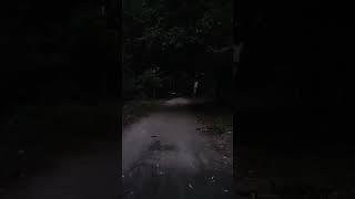 Devil sound #ghost #devil #scary #horrorshorts #pratham #zombiesurvival