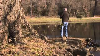 Bass Fishing for Beginners: The Pond