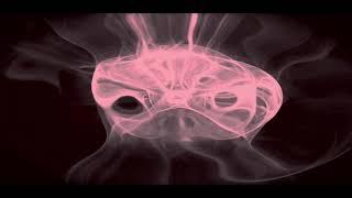D.P.O.D. - Caravan O Solé