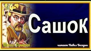 Сашок ,Михаил Пришвин ,  Рассказы о природе , читает Павел Беседин