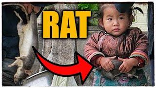 Poor Chinese Girl eats RATS