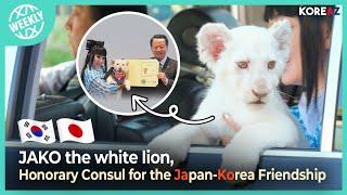 JAKO the white lion, an Honorary Consul for the Japan-Korea Friendship | KOREAZ Weekly no. 130