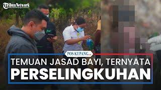 Temuan Jasad Bayi di Sabu Raijua, Ternyata Kasus Perselingkuhan