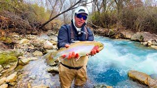 Fly Fishing for BIG RAINBOW TROUT in Georgia