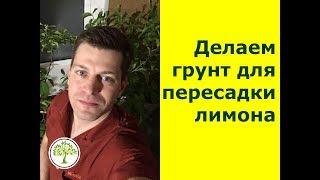 Как сделать грунт для комнатных лимонов своими руками?