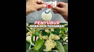 Bumbu dapur ini bisa menyuburkan buah dan tanaman