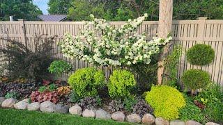 Mid May Walkabout & Garden Tour 