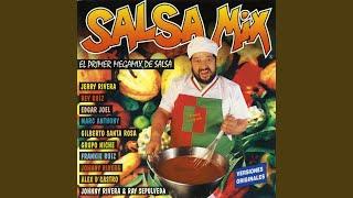 Salsa Mix (Continuous Mix)