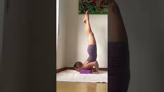 Follow along to learn Yoga inversions ( forearm and chinstand)