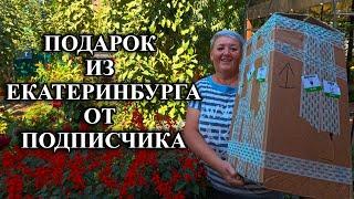 687ч Жизнь пенсионеров на юге/Переехали с Урала в Родники/Обзор наших дел