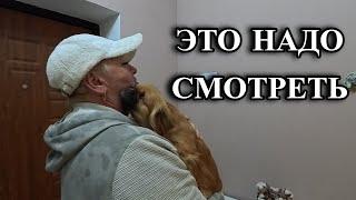 725ч Обзор наших покупок/Жизнь после переезда/Купили дом на юге