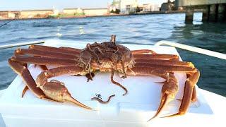 カニに付いた寄生虫を海に落とすと…