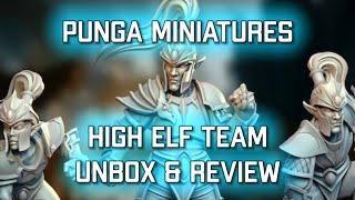 High Elf Team Kickstarter Unbox & Review  | Punga Miniatures (Bonehead Podcast)