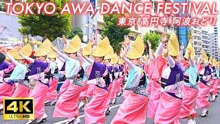 【4K Japan】Koenji Awa Odori l The largest Awa Dance festival in Tokyo, attracting 1 million people