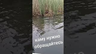 Рыбалка. Кому нужно обращайтесь 